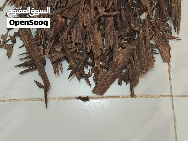 agar oudh India