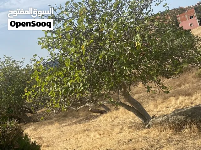 ارض متعددة الاستعمال للبيع فيها 2311 متر