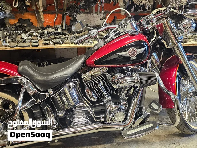 harley davidson softtail 2006