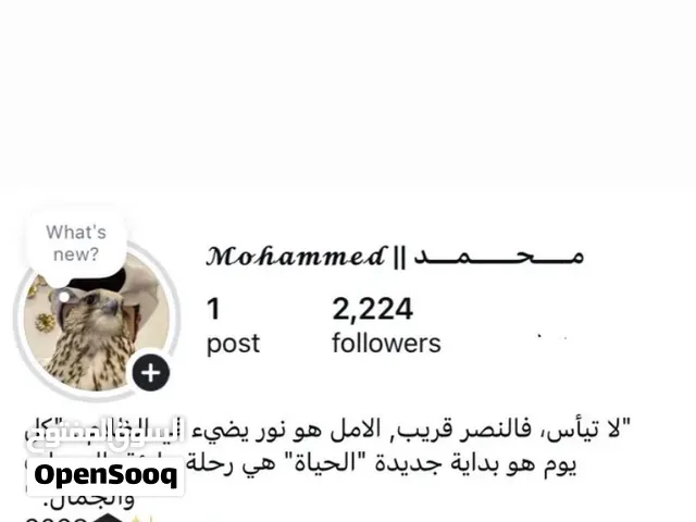 Social Media Accounts and Characters for Sale in Muscat