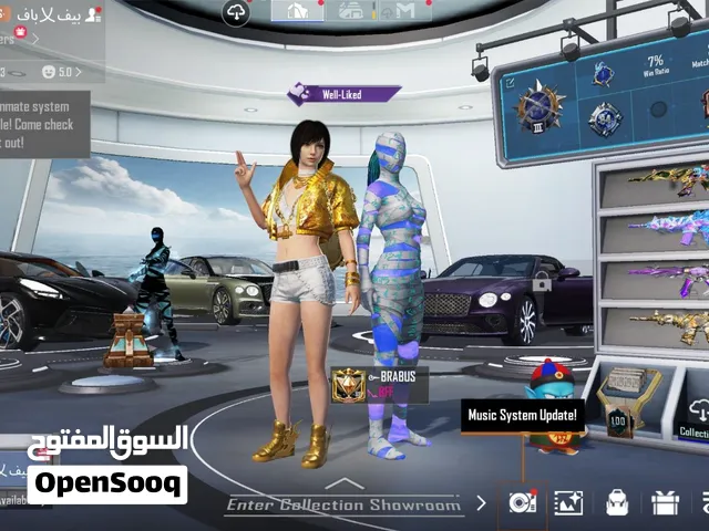 حساب ببجي مستوى سكنات 84
