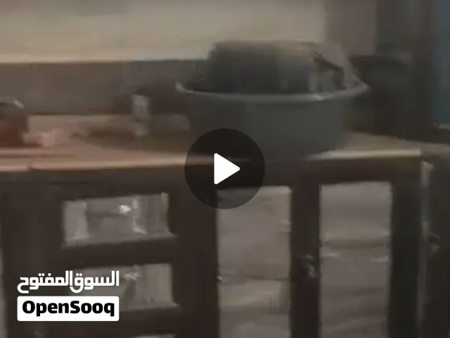بيت للبيع في أبين المخزن