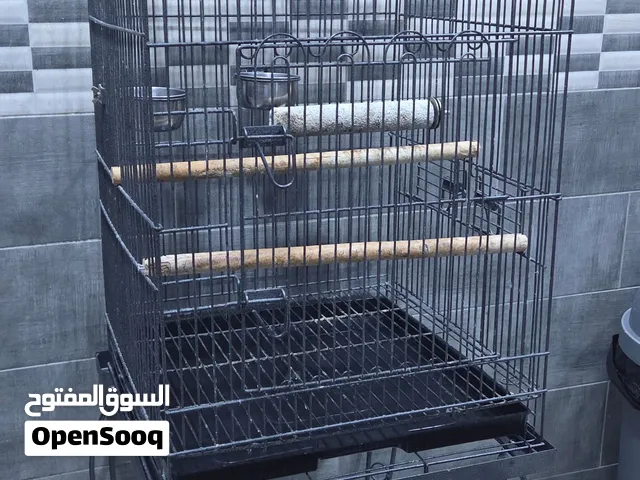 للبع قفص طيور حجم كبير