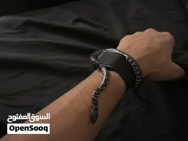 ثعبان الكينج الشرقي snake