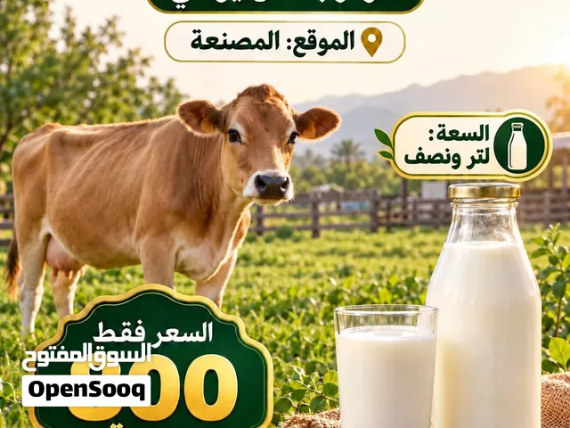 حليب بقر طازج
