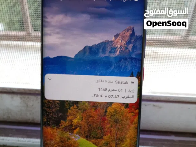 Huawei Mate 20 Pro 256 GB in Irbid