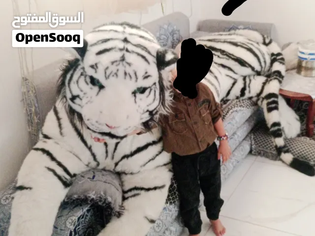 نمر أبيض محشو بحجم (عملاق) – قطعة ديكور مميزة