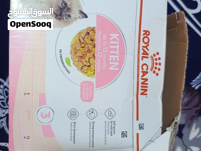 Royal Canin 80g * 12 pouch