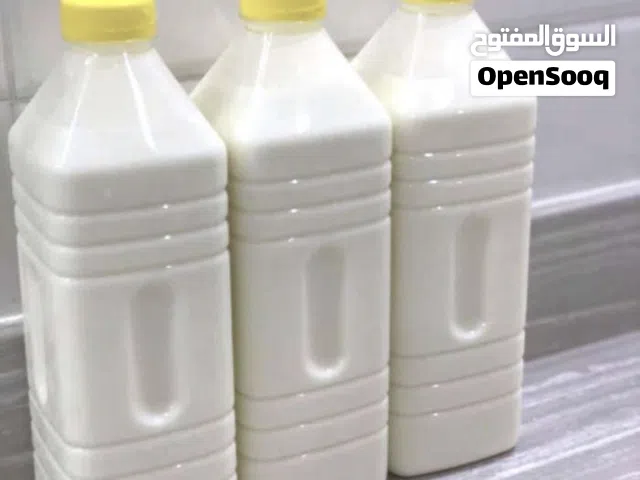 حليب بقر طازج للبيع