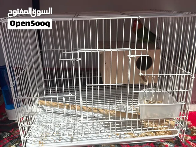 للبيع زوج فيشر مع اغراضه