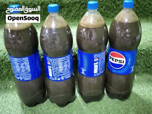 للبيع صل فاتح شهيه
