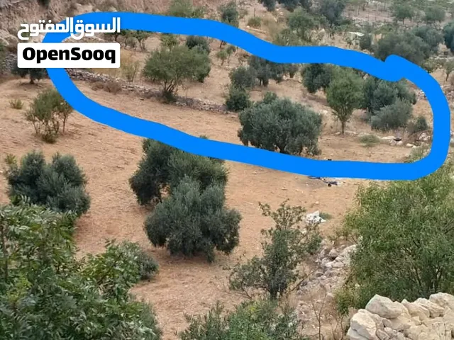عقاري وتجاري
