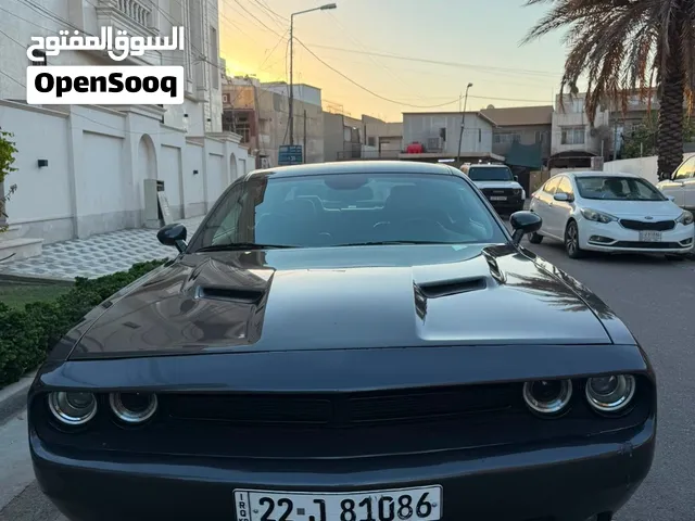 جالنجر  موديل  2022