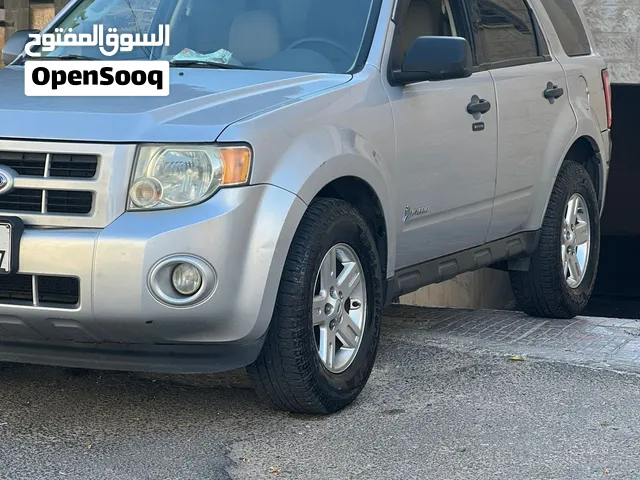 Used Ford Escape in Amman