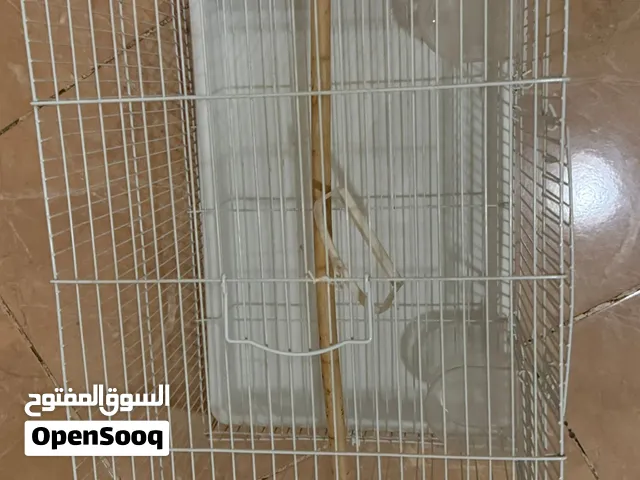 قفص صغير للطيور