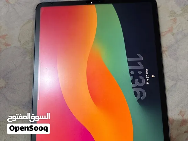 Apple iPad Pro 256 GB 12.9 inch very rarely used neat and clean