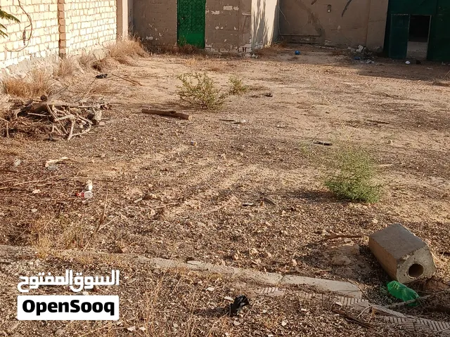 ارض مسجلة للبيع في الكينج مريوط وممكن تتجزاء 1500 متر وبها عقد ازرق تصلح لجميع الاغراض الاسكندرية