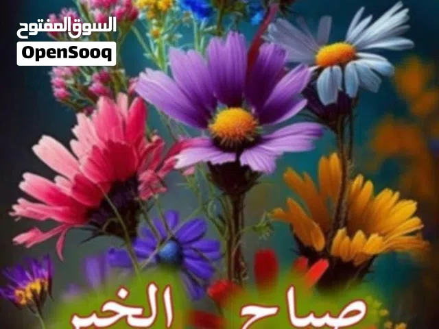 بدروم +جراج