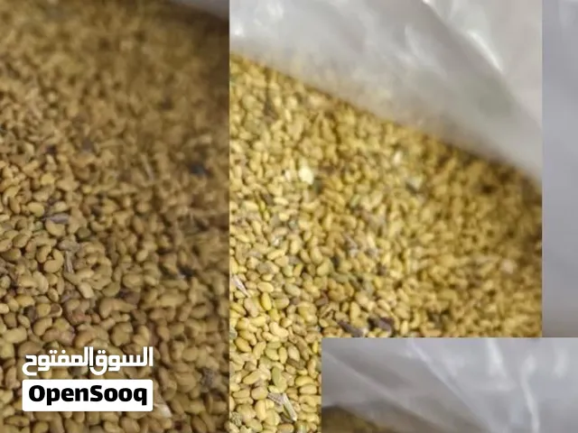 بذر قت العمر خمس سنوات