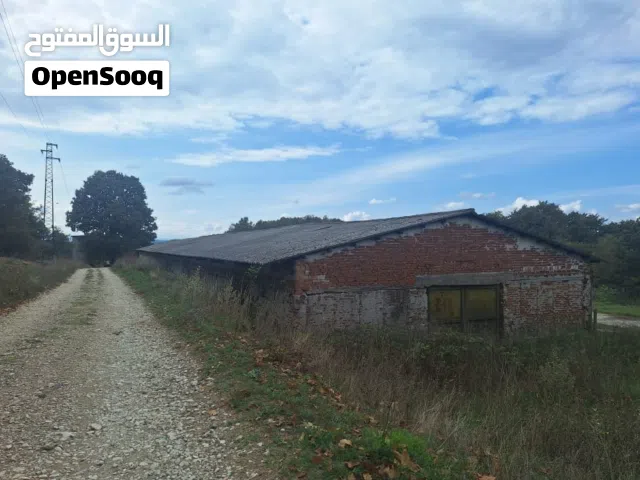 تشيز لاند جوردن مار