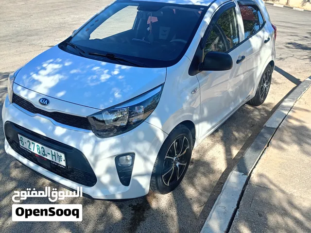Kia bekanto جير ماتور بلاطات شصيات عمدان فخذات سمكات نخب النحب