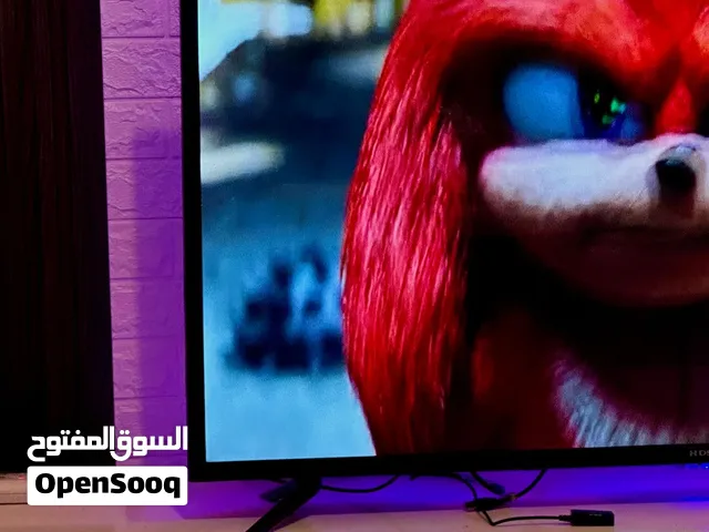شاشة تلفزيون
