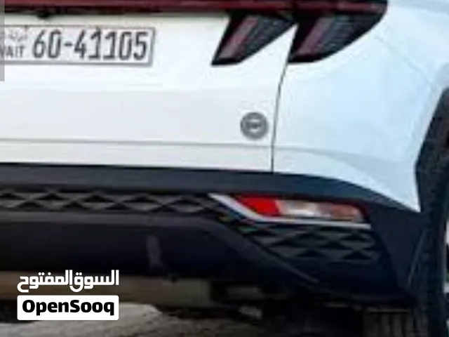 فليتشه توسان 2023