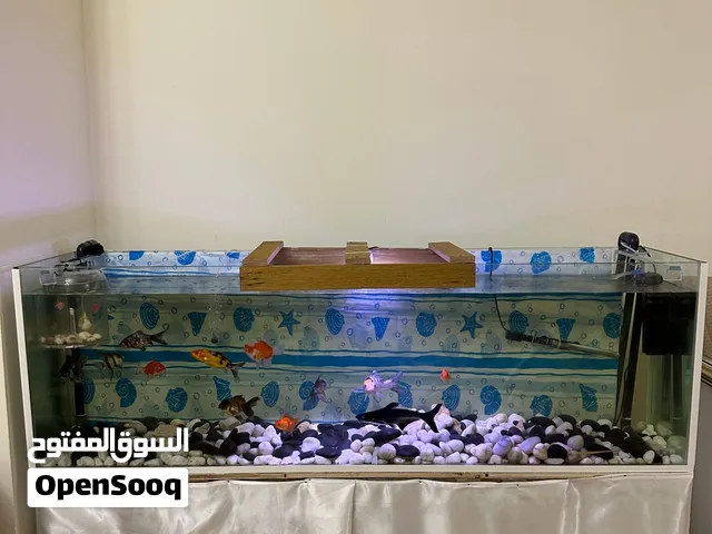 حوض سمك حجم كبير