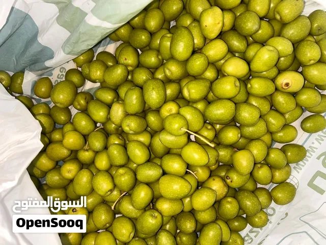 زيتون بلدي