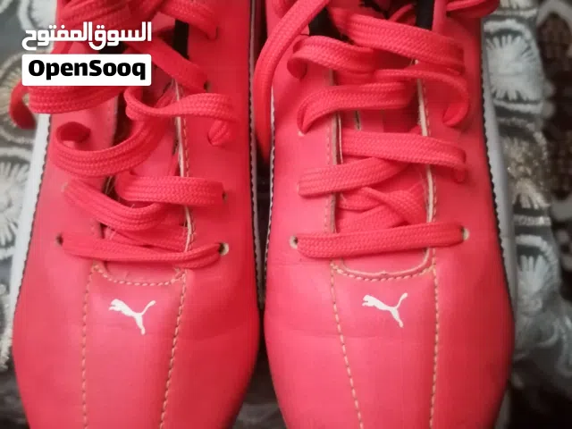 حذاء رياضى حكاية على الماشى