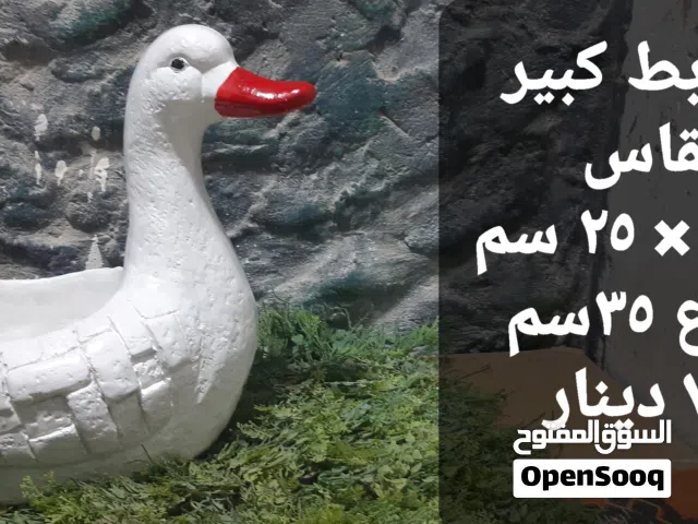 قواوير زرع باشكال البط
