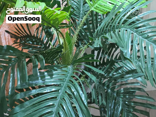 شجره زينه جميله