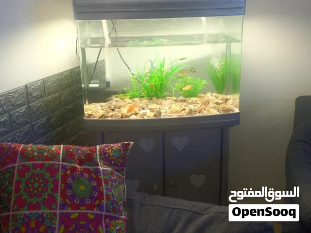 حوض سمك اجنبي لللبع