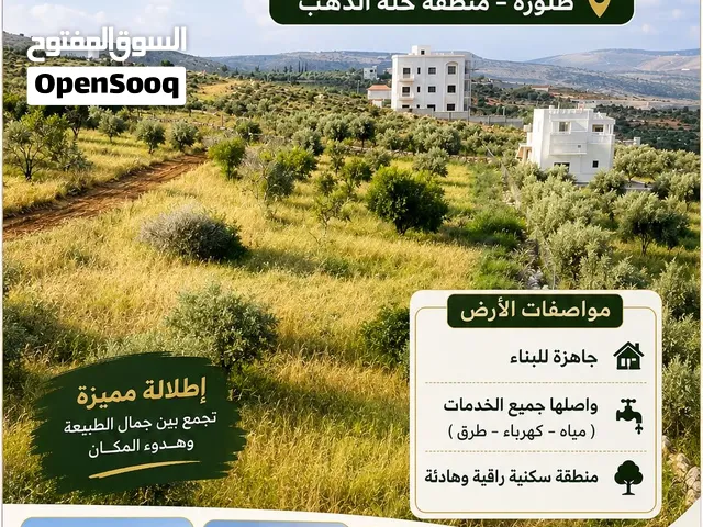 Mixed Use Land for Sale in Nablus Taluza