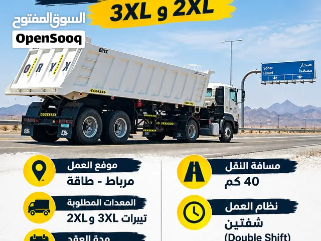 مطلوب تيبرات 3XL أو 2xl للايجار