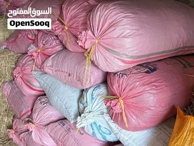 حرية حمراء للبيع