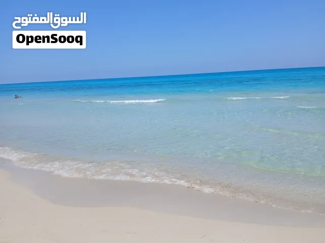 مطلوب استراحه للايجار لغرض الزراعه وتربية حبوانات