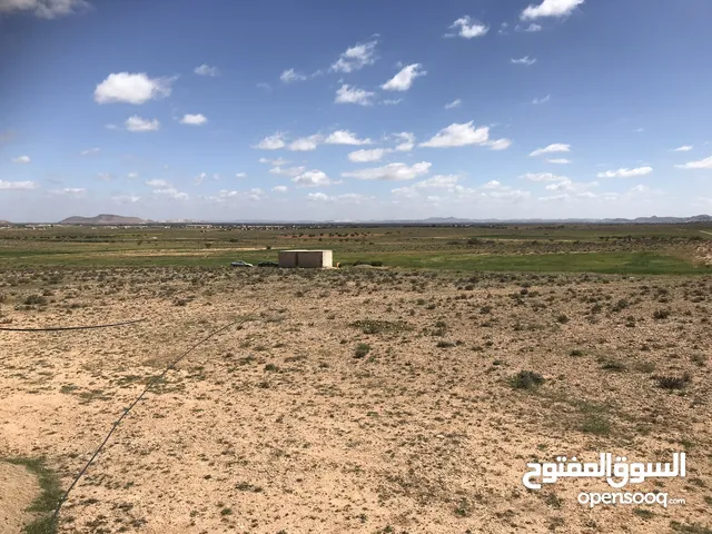 هكتار ونصف للبيع وادي الهيرة اولاد ابوعايشة قبل بوابة غريان
