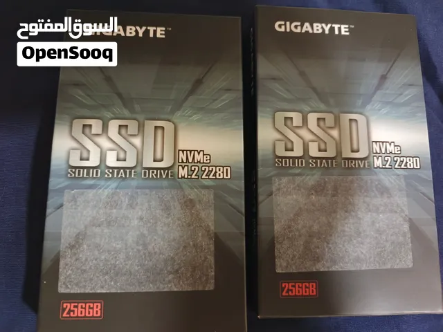 256gb nvme ssd gigabyte