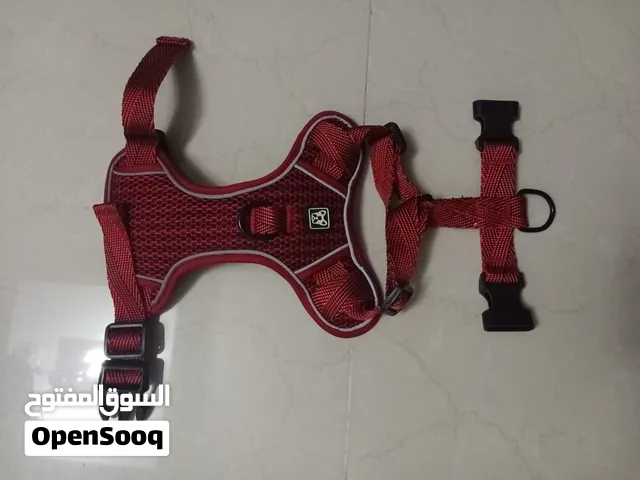 cat harnesses and leashes