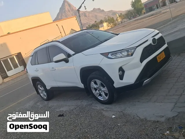 رافو فور فل اوبشن