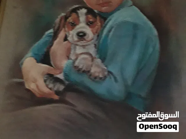 ديكور منزل