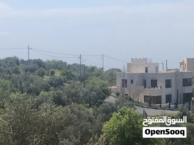 أجمل مناطق عمان الغربية بدر الجديده الكاشف