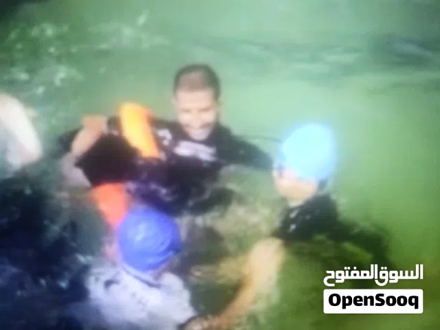 swimming coach مدرب سباحه