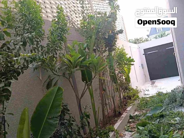قص وتقليم الاشجار