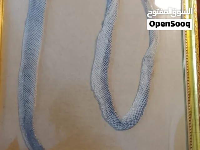 لوحه جلد ثعبان حقيقي