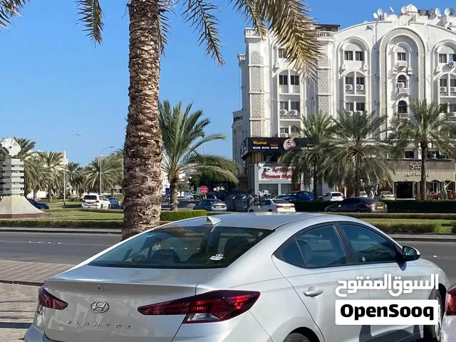 هواندي النتر 2023