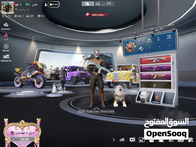 Pubg Accounts and Characters for Sale in Mafraq