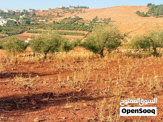 Farm Land for Sale in Jerash Other