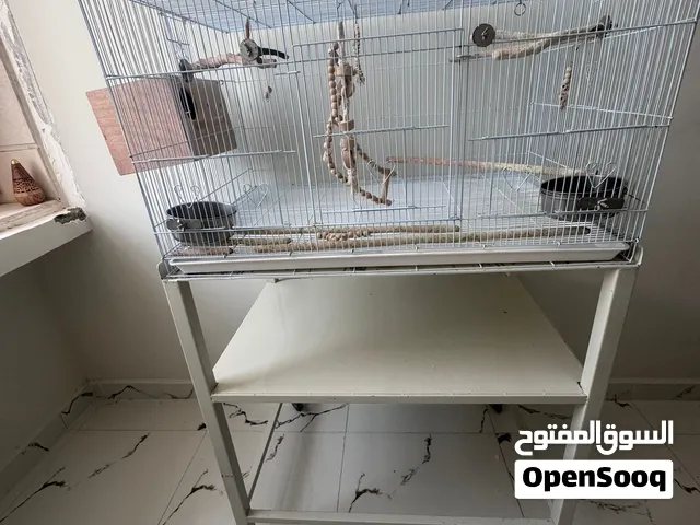 Big cage with stand 150H x 90W x 60D (cm)